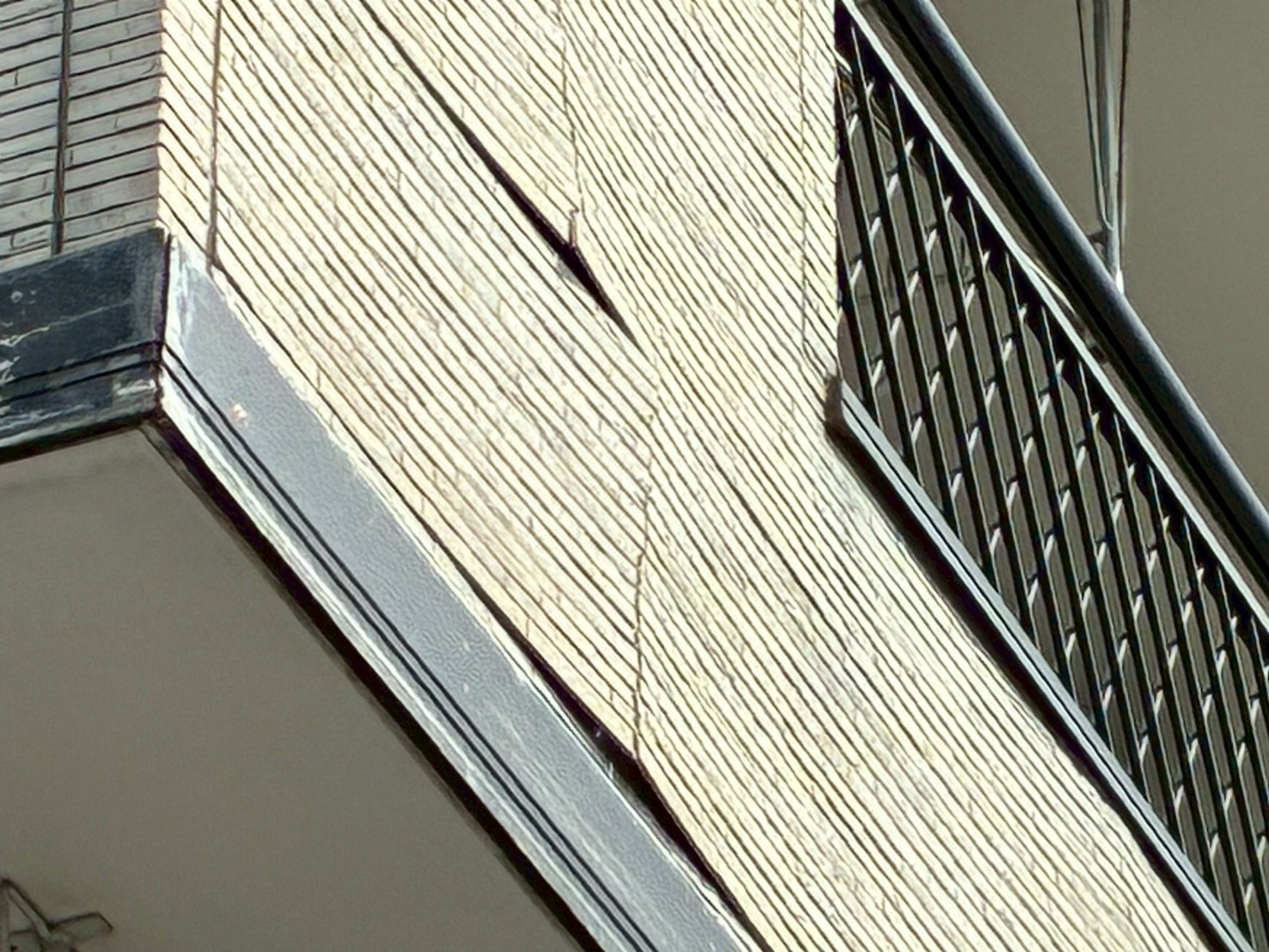 反りがひどく落下しそうなサイディング外壁